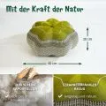 Kapok Zafukissen Stern gro� (Gr�n)