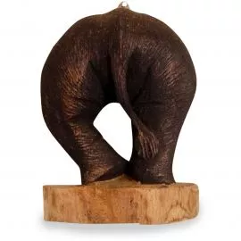 Wer will hier durch die Wand  kleiner Elefantenpo